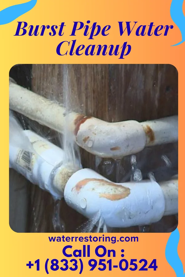 Burst Pipe Water Cleanup in Mount Cobb, PA