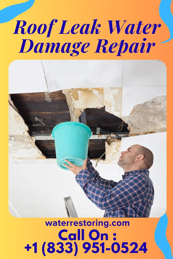 Roof Leak Water Damage Repair in Mount Cobb, PA