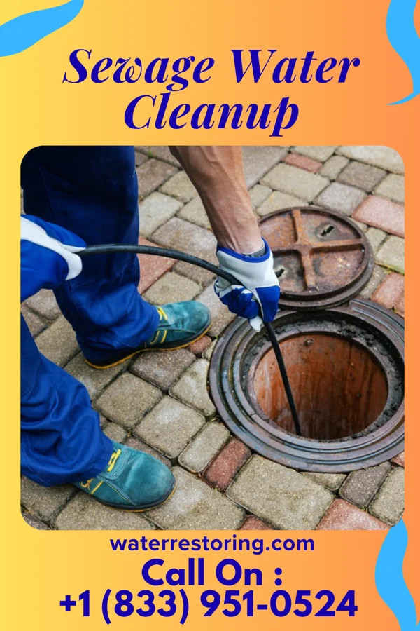 Sewage Water Cleanup in Mount Cobb, PA